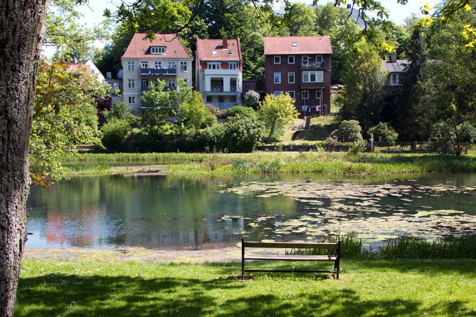 05 Mlholm Dammen